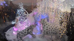 2023 12 19 TOULON AVANT NOEL (63)